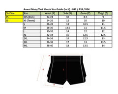 Arwut Fight Gear Muay Thai Shorts Arwut Muay Thai Shorts Blaze