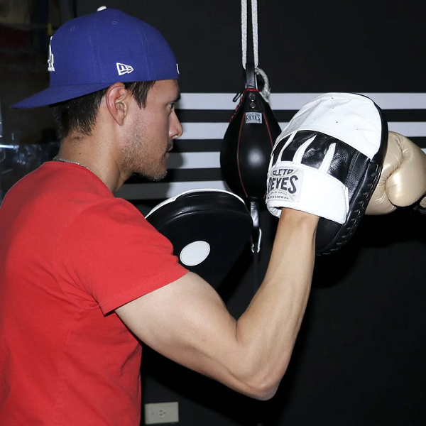 Cleto Reyes Focus Mitts Cleto Reyes Curved Punch Mitts