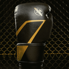 Hayabusa Boxing Gloves Hayabusa E1 Boxing Gloves Black-Gold