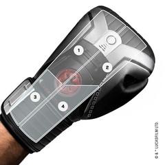 Hayabusa Boxing Gloves Hayabusa Star Wars Sith Boxing Gloves