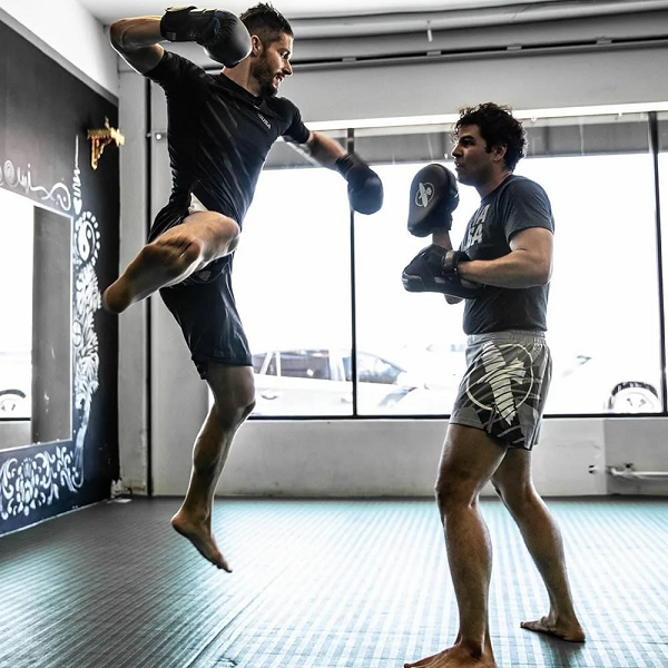 Hayabusa Focus Mitts Hayabusa PTS 3 Focus Mitts