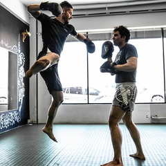 Hayabusa Focus Mitts Hayabusa PTS 3 Focus Mitts