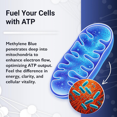 LCG Labs Supplements LCG Labs Methylene Blue 30 Gummies