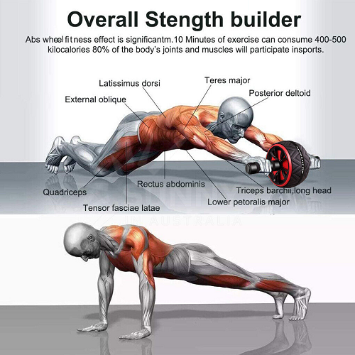 Rolling wheel abs exercise hotsell