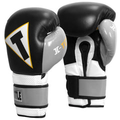 Title Icon I-Tech Boxing Gloves