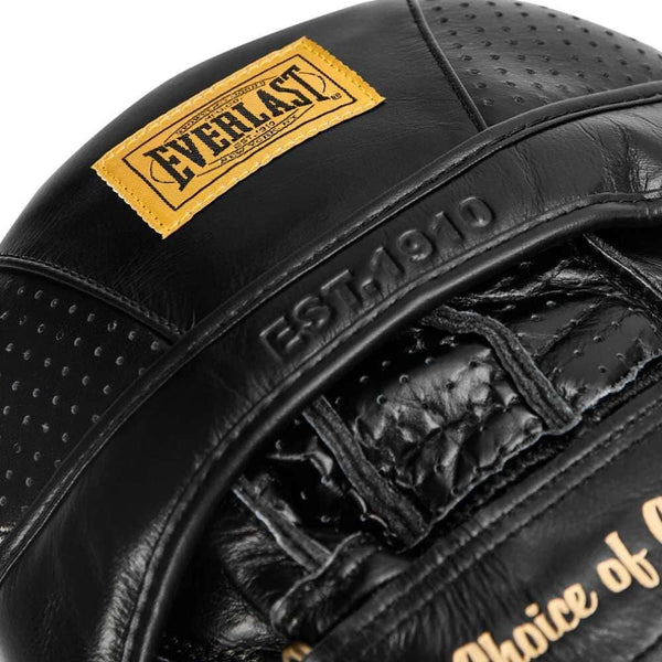 Everlast FOCUS MITTS Everlast 1910 Pro Aircore Boxing Focus Mitts