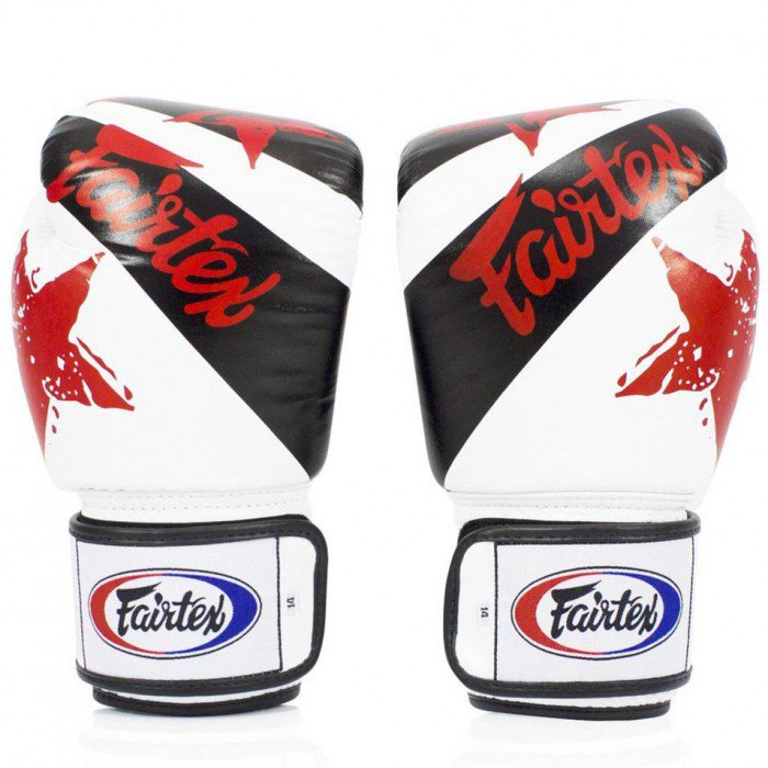 FAIRTEX Nation Print Boxing Gloves BGV1 - White
