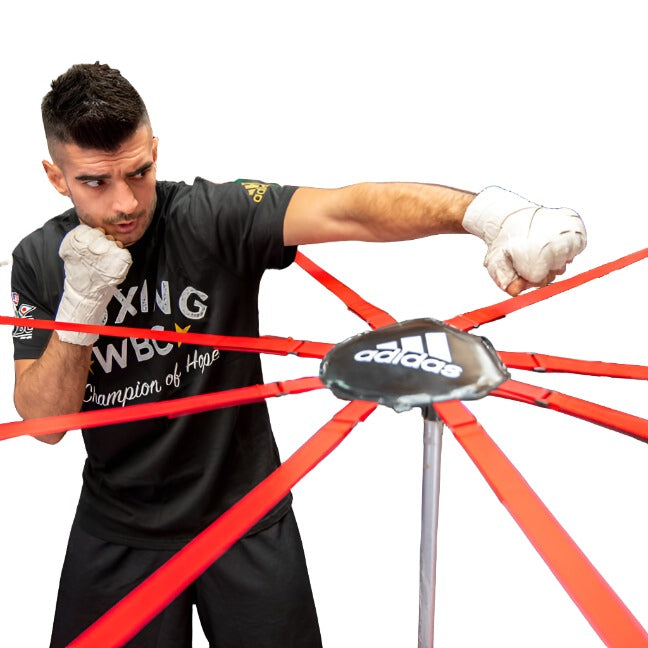 Adidas Boxing Ring Dodging System