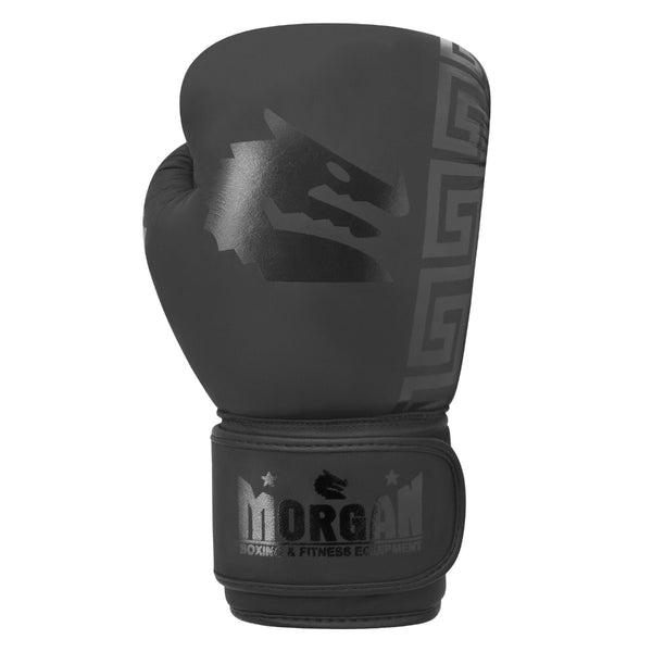 Morgan Boxing Gloves Morgan B2 Bomber Boxing Gloves