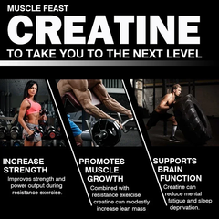 Pslalae Supplements Pslalae Creatine Monohydrate Capsules 60