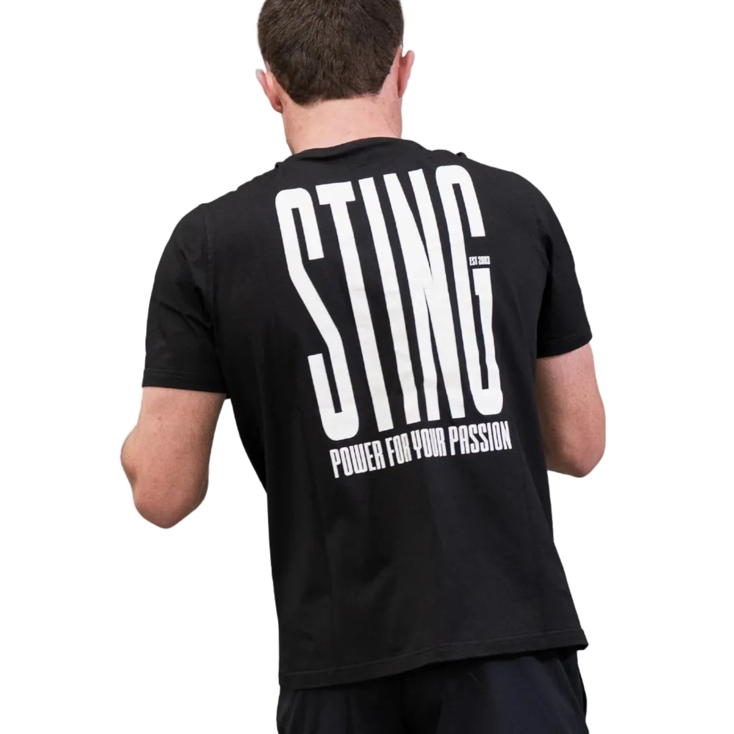 STING T Shirts Sting Ascend T Shirt - Black