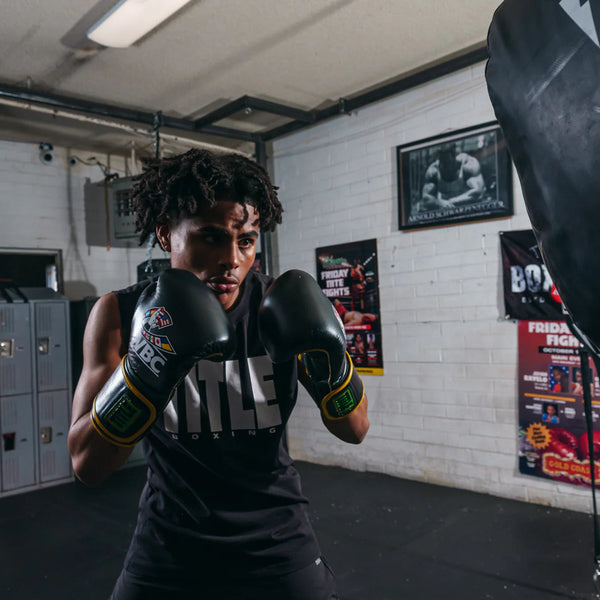 Title Boxing Boxing Gloves Title Boxing Gloves - WBC