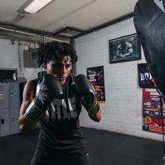 Title Boxing Boxing Gloves Title Boxing Gloves - WBC