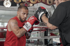 Title Boxing Focus Mitts Title Boxing Aerovent Excel Incredi Focus Mitts 2.0