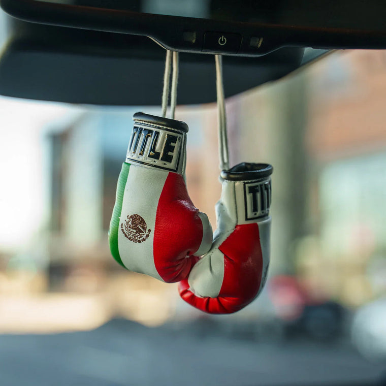 Title Rear View Mirror Mini Boxing Gloves - Mexico Flag