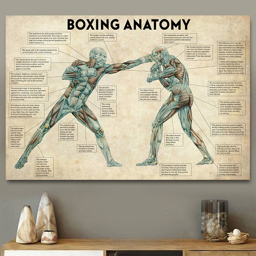 The Anatomy Of Boxing Canvas Print - The Fight Factory