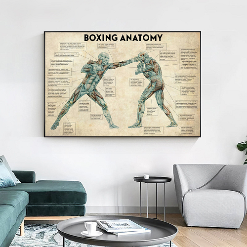 The Anatomy Of Boxing Canvas Print - The Fight Factory