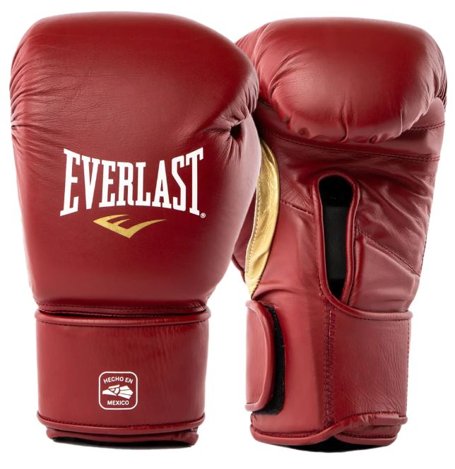 Everlast Mx2 Pro Training Gloves - The Fight Factory
