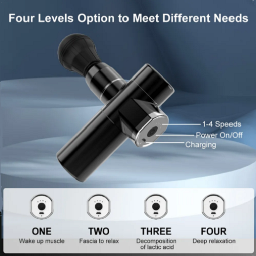 Mini Portable Massage Gun The Fight Factory