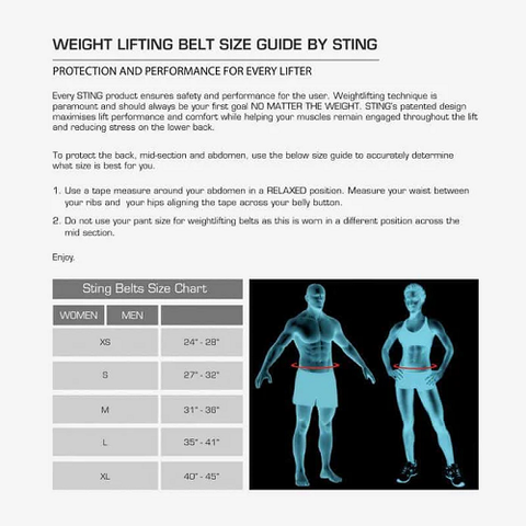 STING Gym & Weightlifting Belts Sting Eco Leather Lifting Belt 6Inch